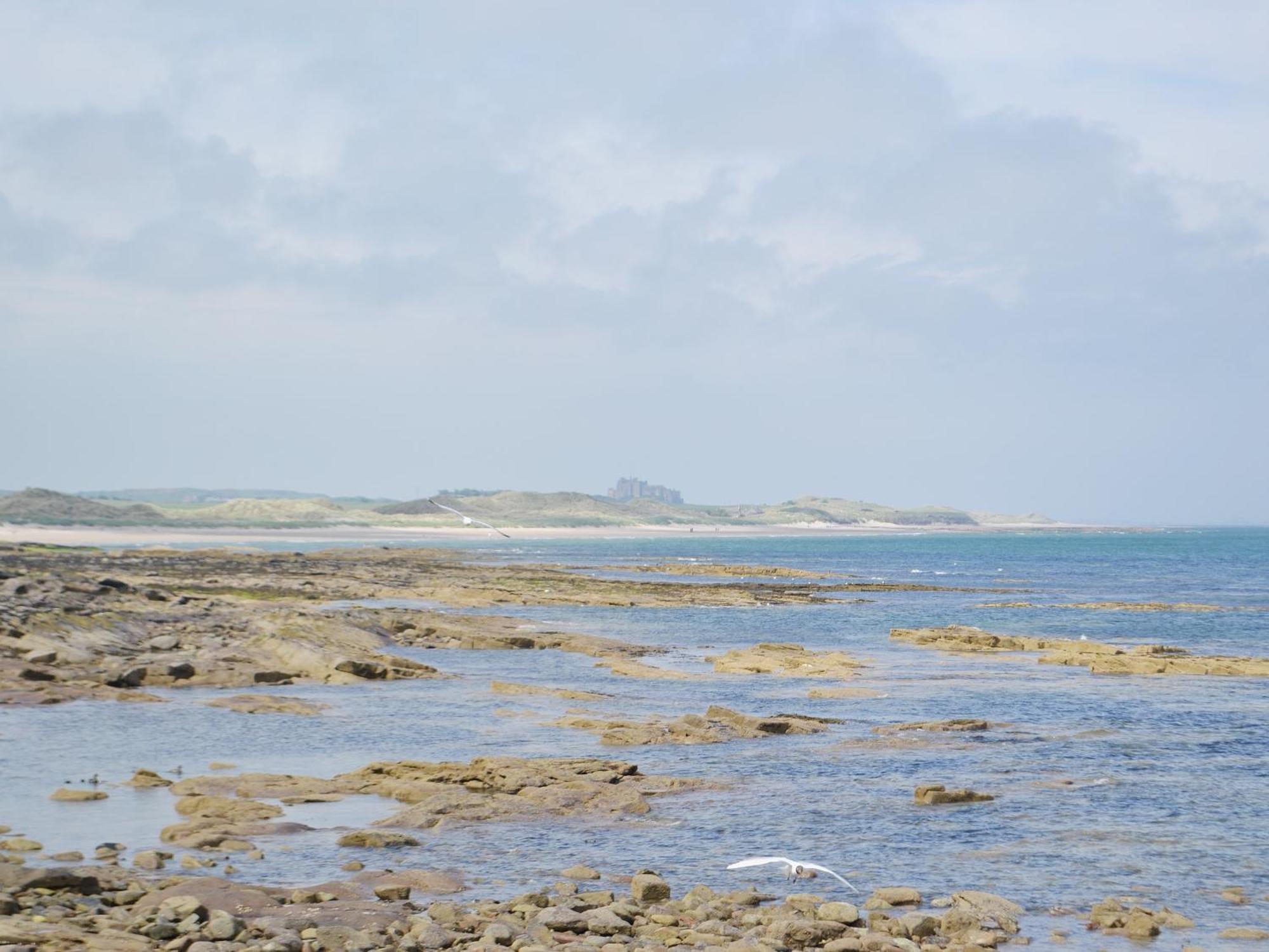 Daisy Cottage Seahouses Exterior foto